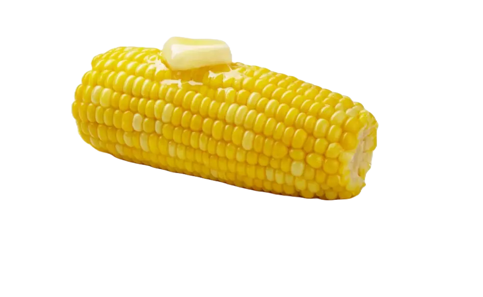 Corn on the Cob