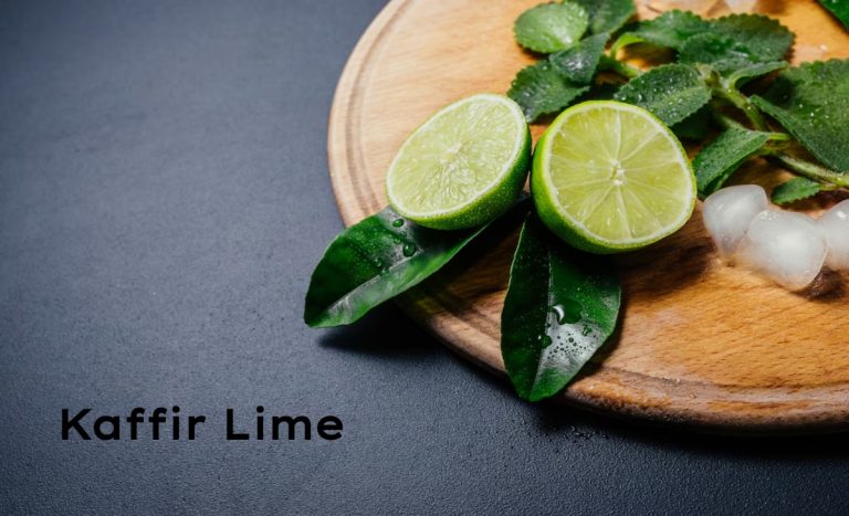 Kaffir Lime