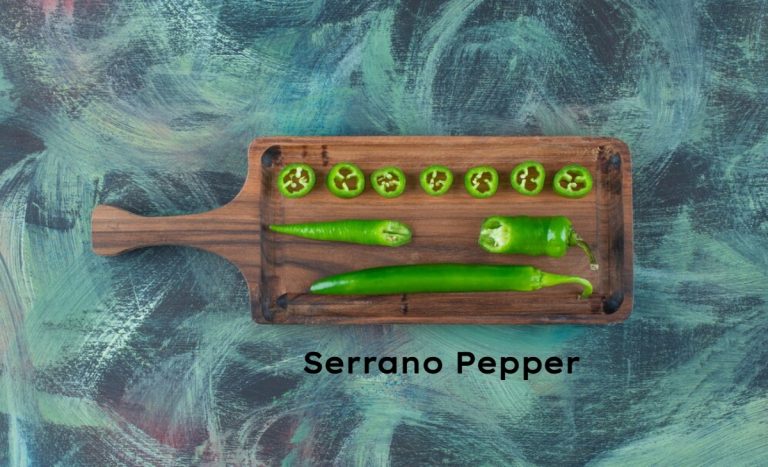 Serrano Pepper